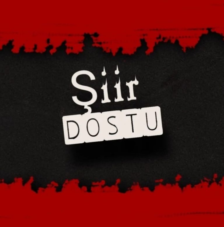 Şiir Dostu